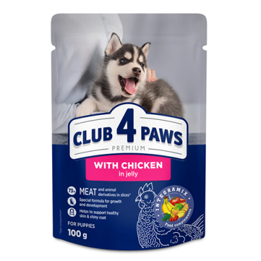 CLUB 4 PAWS PREMIUM για κουτάβια "Με κοτοπουλο σε ζελε". Πλήρεις κονσερβοποιημένη ωοτροφών για ζώα συντροφιάς