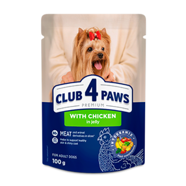CLUB 4 PAWS PREMIUM " ΜΕ ΚΟΤΟΠΟΥΛΟ ΣΕ ΖΕΛΕ". ΓΙΑ ΕΝΗΛΙΚΕΣ ΣΚΎΛΟΥΣ