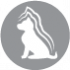 CLUB 4 PAWS PREMIUM ΓΙΑ ΚΟΥΤΆΒΙΑ " ΜΕ ΓΑΛΟΠΟΎΛΑ ΣΕ ΣΑΛΤΣΑ". ΠΛΉΡΕΙΣ ΚΟΝΣΕΡΒΟΠΟΙΗΜΈΝΗ ΖΩΟΤΡΟΦΏΝ