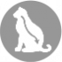 CLUB 4 PAWS PREMIUM "ΜΕ ΑΠΟΤΕΛΕΣΜΑ ΑΠΟΒΟΛΗΣ ΤΡΙΧΩΝ ΑΠΟ ΤΟ ΓΑΣΤΡΕΝΤΕΡΙΚΟ ΣΩΛΗΝΑ ". ΠΛΗΡΕΙΣ ΚΟΝΣΕΡΒΟΠΟΙΗΜΕΝΗ ΩΟΤΡΟΦΩΝ ΓΙΑ ΖΩΑ ΣΥΝΤΡΟΦΙΑΣ ΓΙΑ ΕΝΗΛΙΚΕΣ ΓΑΤΕΣ